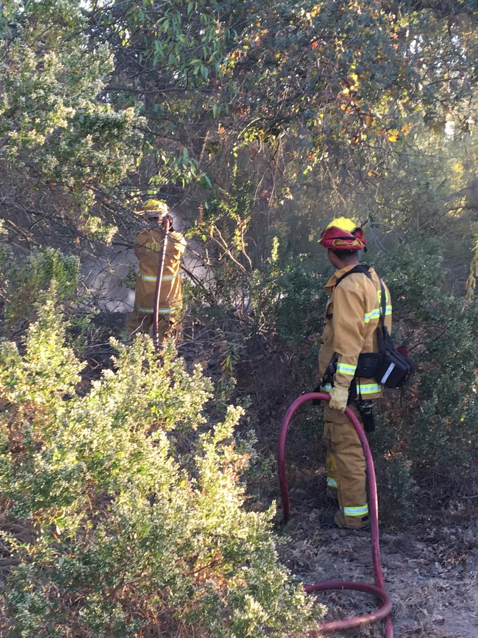 Varsity Cross Country Team Runs into Fire on ARP