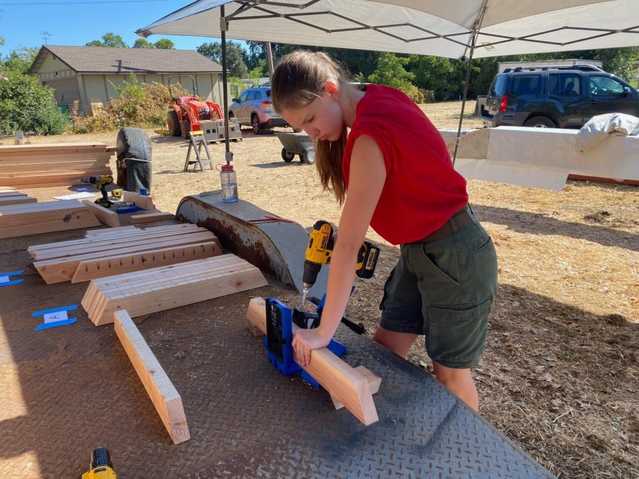 Quayle works to build backdrop for non-profit theater company, Royal Stage.