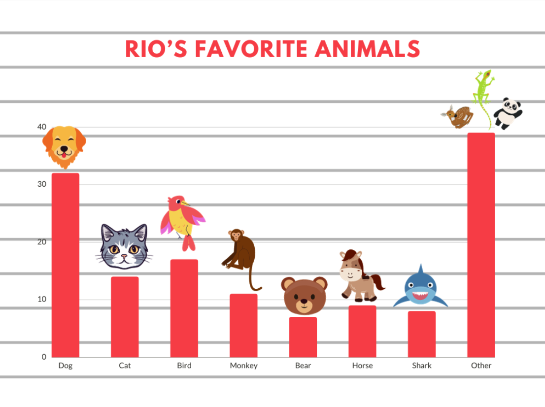 Rio Students Share Favorite Animals Ahead of World Animal Day