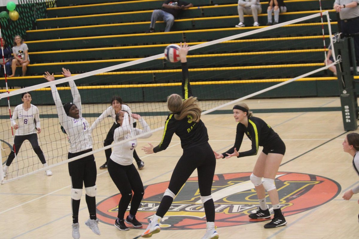 Volleyball Team Impresses in 2023 Regular Season