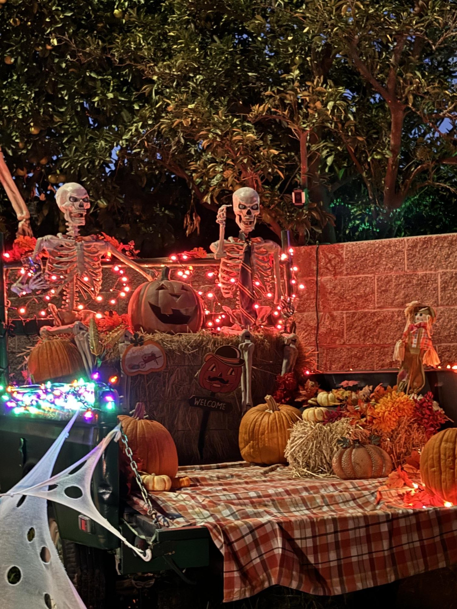 Photos: Rio Students' Houses Light Up for Halloween