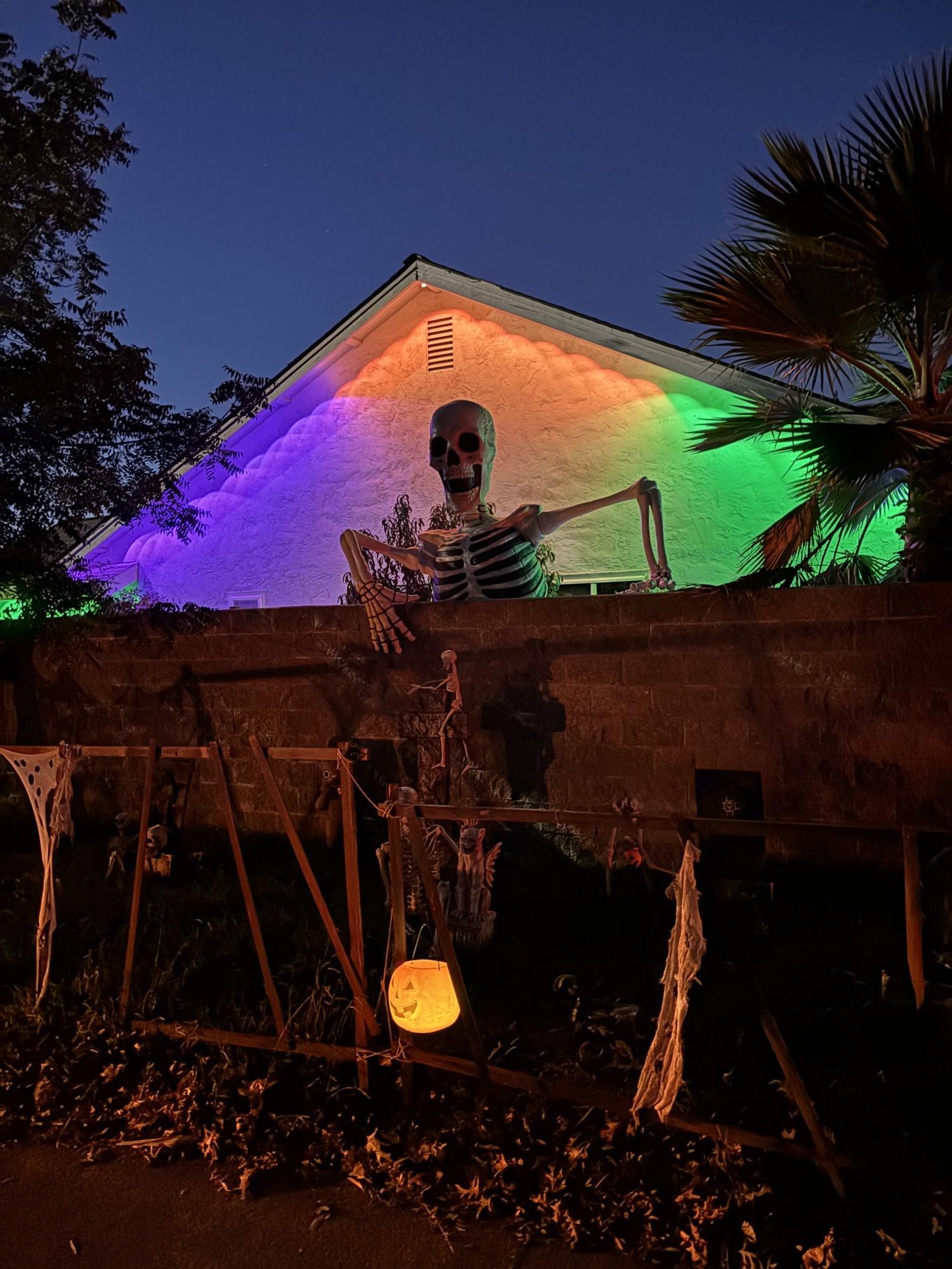 Photos: Rio Students' Houses Light Up for Halloween