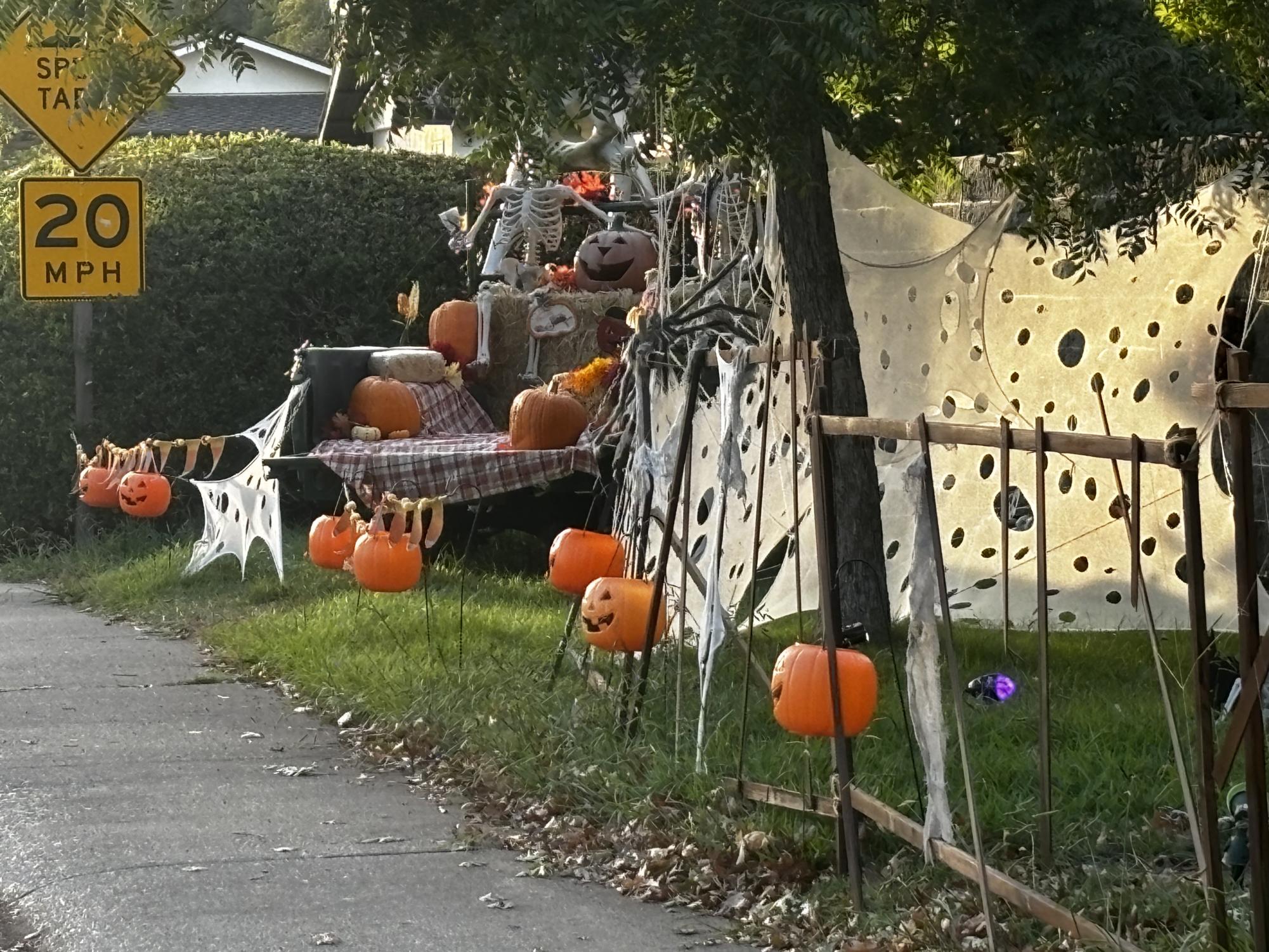 Photos: Rio Students' Houses Light Up for Halloween