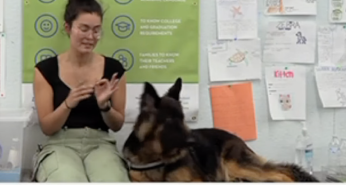 Biology teach Mari Youngman with her service dog, Hugs.