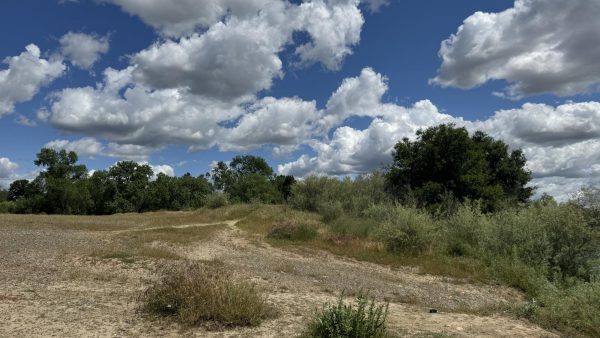 The American River Parkway.