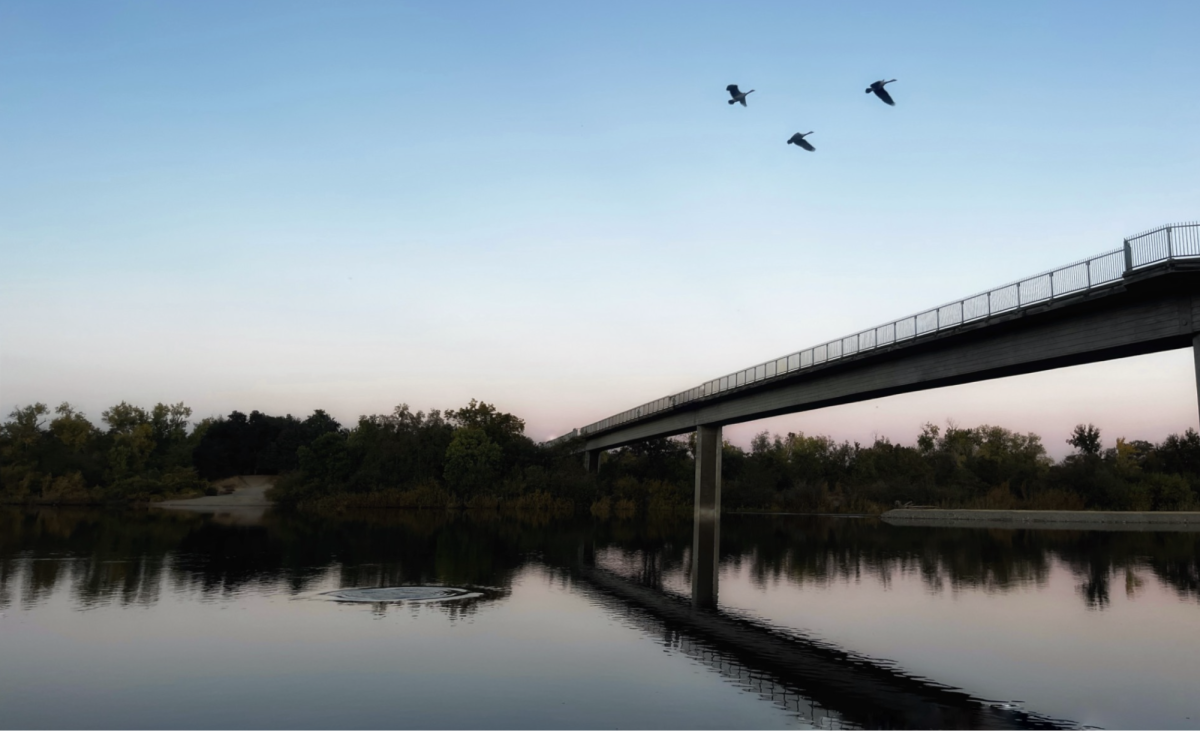 Zoe Overholt's photo was chosen for the 2025 Viewpoint Gallery Photographic Art Center student show, featuring works from high school and college students throughout the Sacramento area. This year's theme is Barriers and Bridges.