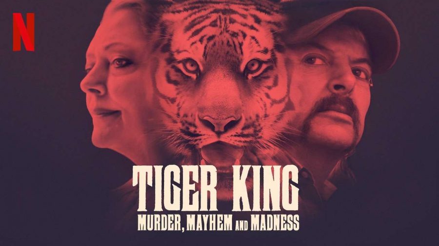 Tiger King Review