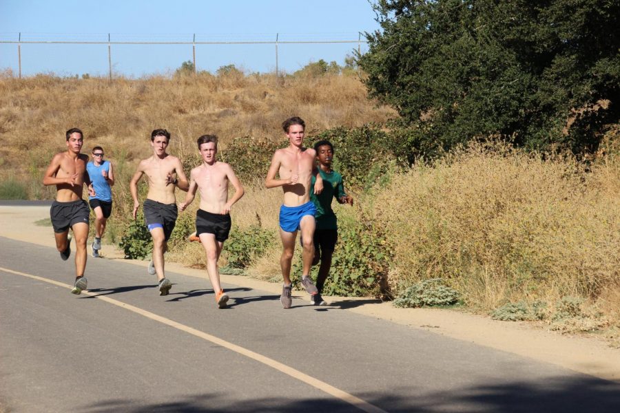 Varsity boy runners [left to right] Nicolas Gorman (10), Zach Chambers (9), Ross Gowan (10), Jensen Salvatori (11), Conner Ettinger (11), and Ermayes Mamo (9)