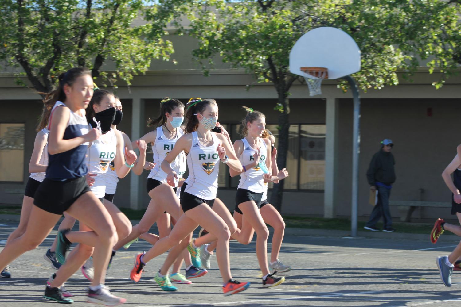 Cross country team is back on track