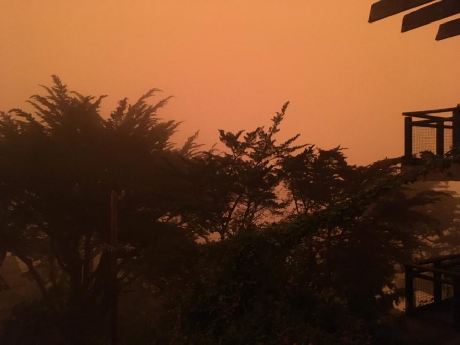 Smoky skies and heat make for an intense combination in California cities like San Francisco. (pictured). While the haze in Sacramento appears to be less orange than this, the heat is more extreme.