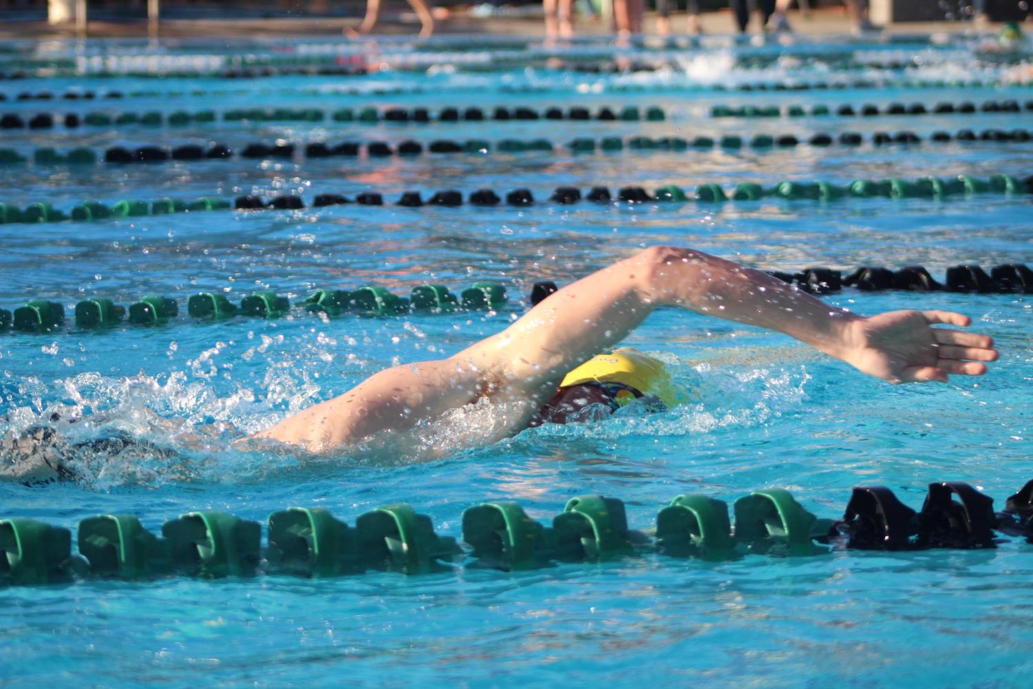 Spring Sports Pictures