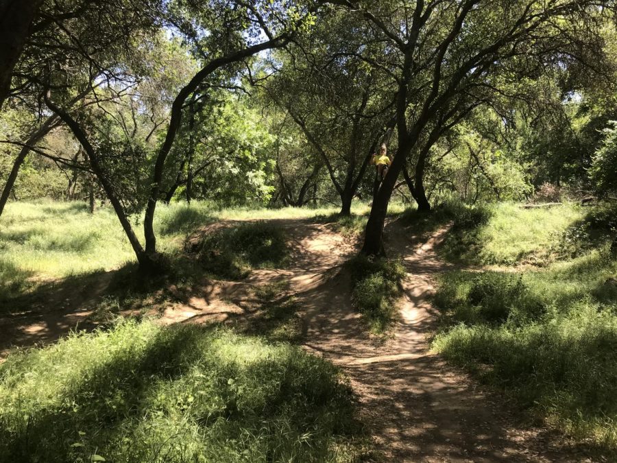 A mountain bike jump track Gauthier found located near William B. Pond off of the American River Bike Trail.