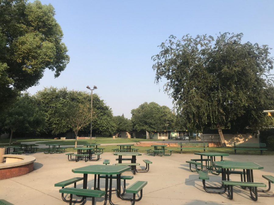 The freshman quad remains empty, as first year students still await their first day on campus.