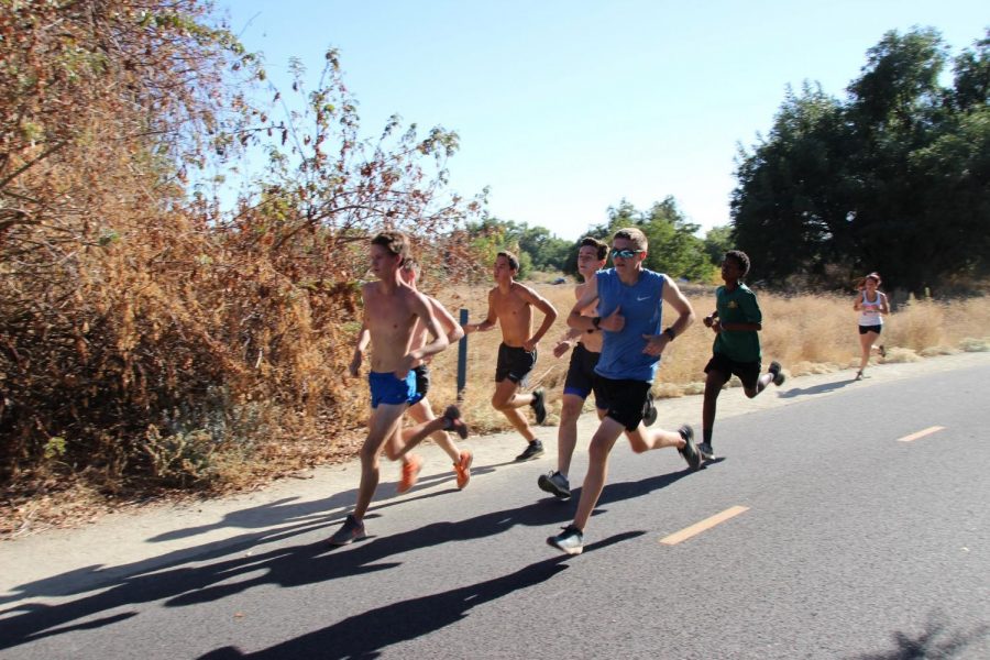 Runners Conner Ettinger, Jensen Salvatori, Nicolas Gorman, Zach Chambers, Ross Gowan, and Ermeyes Mamo during a track speed workout