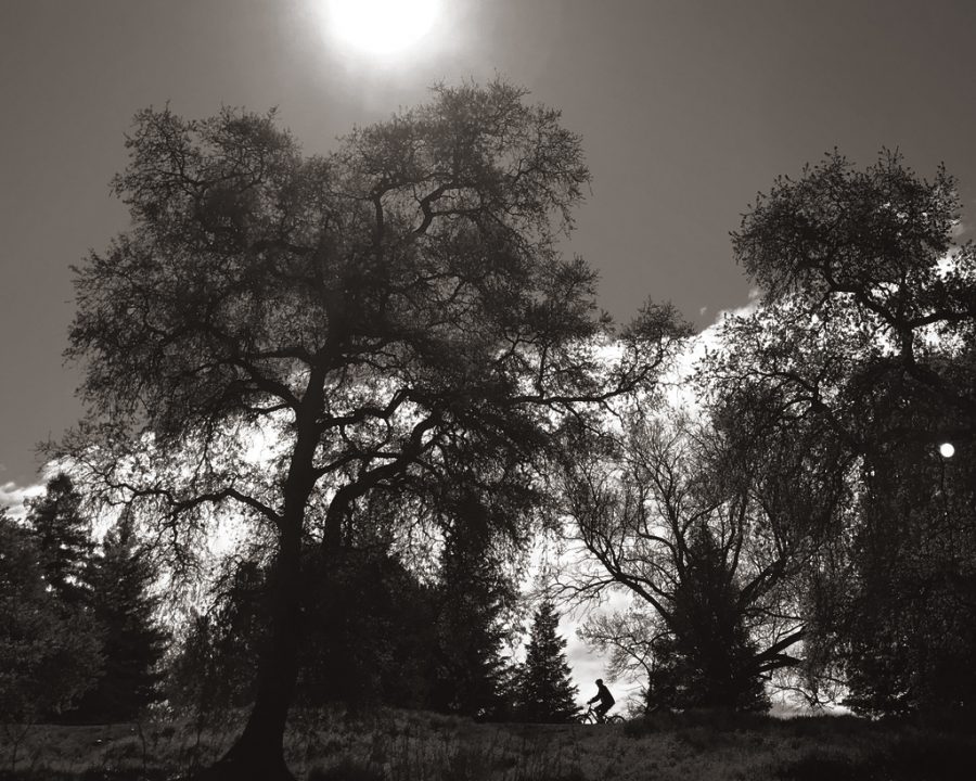 A bike rider enjoys a sunny day last in April on the American River Bike Trail.